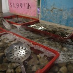 WEBOliveMarket_Ruess