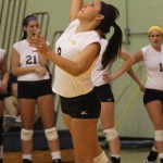 WEBVolleyball2CMYK