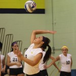 WEBVolleyball3HORIZONTAL
