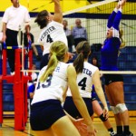 VolleyBall1_GaleCMYK