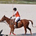 polo 10WEB