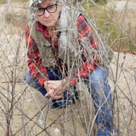 OliveFieldWEB