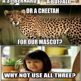 Posted by Matt Fox