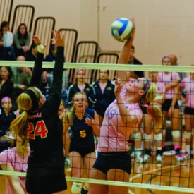 Onlinevolleyball2-5