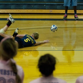 volleyballWASHU14