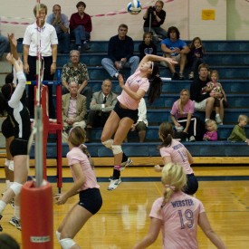 volleyballWASHU15