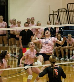 volleyballgreenville8