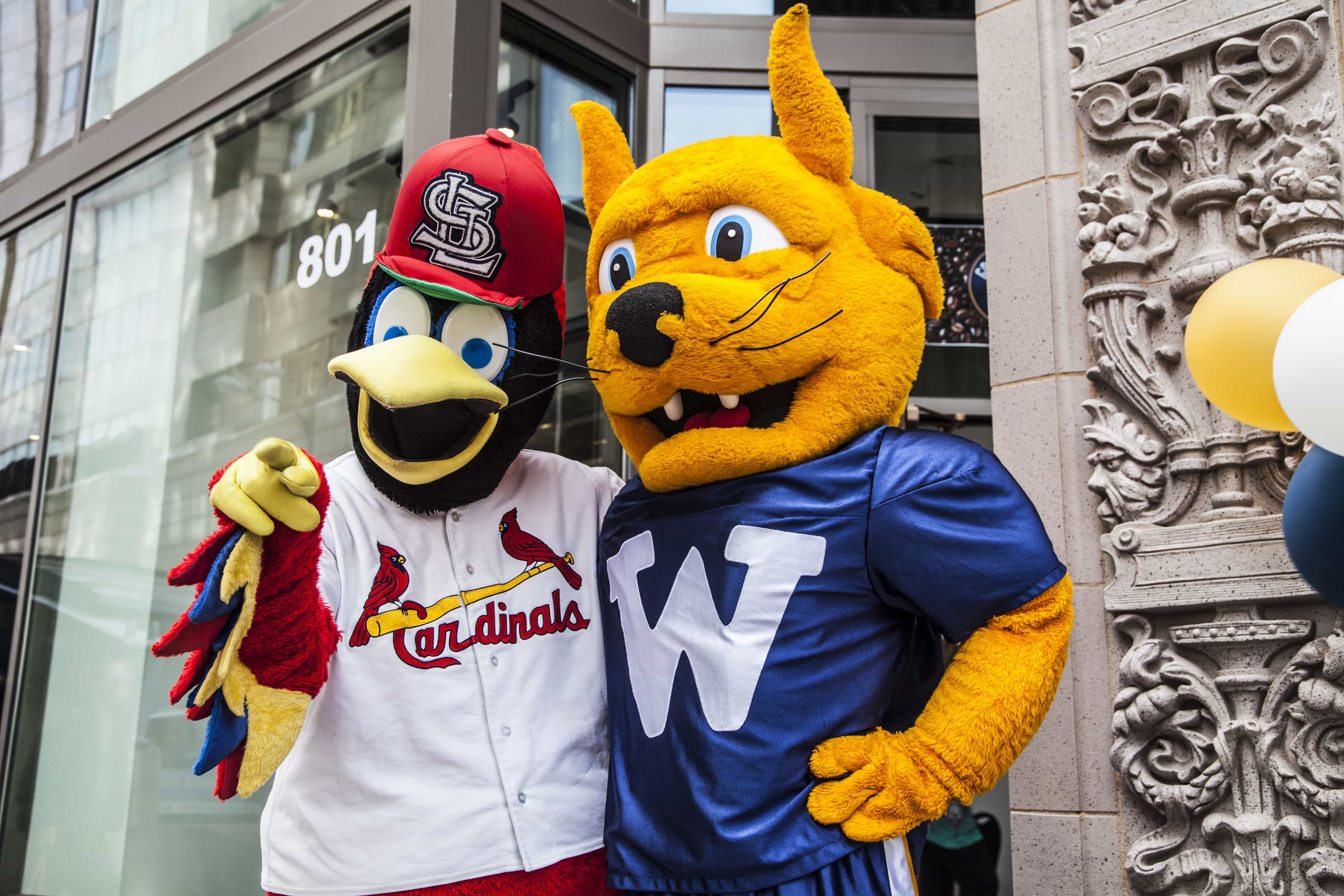 Webster Weekly Briefing: Week of April 4