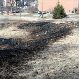 burned_area