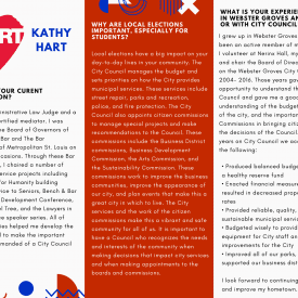 webster vote