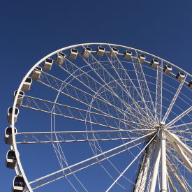 _MG_9549