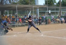 Gorloks’ spring break: Highlights from Webster’s athletic performances