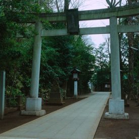 JapanPhotos_05
