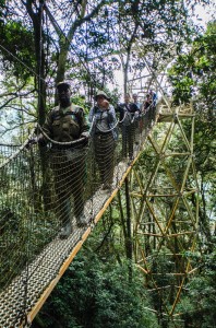 Canopy Walk   
