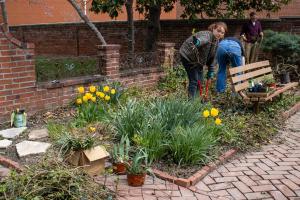 garden-10 (1)