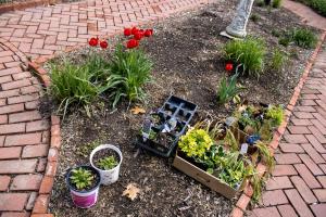 garden-14 (1)
